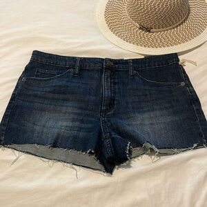 High Rise denim Jean shorts